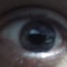 Mike Frijol profil fotoğrafı