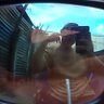 lichi's profile picture
