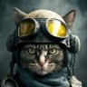 JP Guam 不回关's profile picture