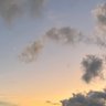 はたん 的头像