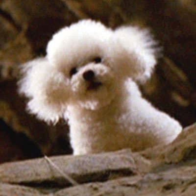 willrayvalentin's profile picture