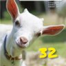 Profilbild von 猫たけし工場🐐