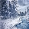 Фото профиля Zakir_0131
