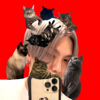 tomofumi_ogura's profile picture