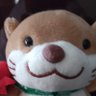 Profilbild von 松岡弘