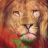Profilbild von ابن🇲🇦المملكة 🇲🇦المغربية