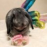 なおきん's profile picture