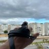איש כשר ופשוט profil fotoğrafı