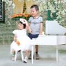 Profilbild von Kiếm Họa Bích