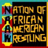 NationofAAWrestling's profile picture