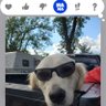 ryan's profile picture
