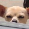 Benzito's profile picture