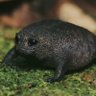 Фото профиля Waterbelly Bob