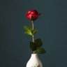 محبة للقراءة's profile picture