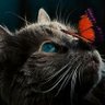 Profilbild von PussyCat101