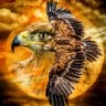 Беркут ❤️ DQ's profile picture