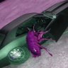 picklethief profil fotoğrafı