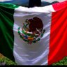 Alex Gonzales's profile picture