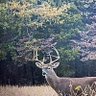 Фото профиля David Galczynski
