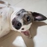 ana profil fotoğrafı