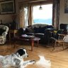 Halee Walsh profil fotoğrafı