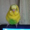 月居海 profil fotoğrafı