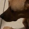 luna 的头像