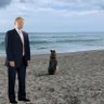 Raven 👍🇺🇸🇺🇸🇺🇸's profile picture
