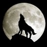 lunerwolf profil fotoğrafı