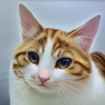 ZephyrIsMe profil fotoğrafı
