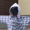 かかし_Z's profile picture