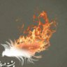 Profilbild von پرسوخته