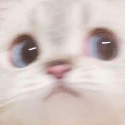 pear14525902's profile picture