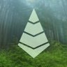 Evergreen🌲🌱 的头像