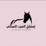 Фото профиля اسطبل الصيت النسائي