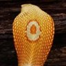 Фото профиля Quan tum dot
