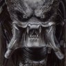 predator's profile picture