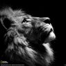 MC🇸🇳's profile picture
