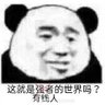 XM 的头像