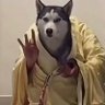 Фото профиля yuanfangchuanlaifengdi