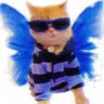 jiaaa profil fotoğrafı