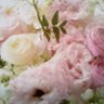 しょうまる profil fotoğrafı