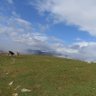 Фото профиля Diplomalı Çoban