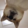 心里's profile picture