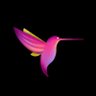 Profilbild von Colibri