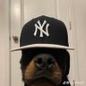 xvi.m's profile picture