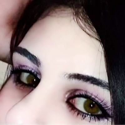 ุงูุฏููุนุฉ ุฒููุจ's profile picture