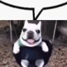 BreadBurger's profile picture