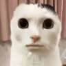 狱财在逃人员 的头像