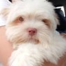 Sate Etas's profile picture